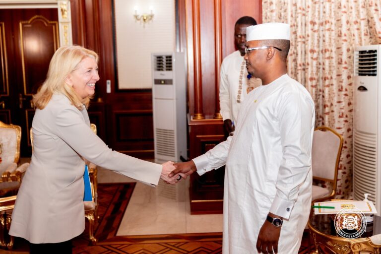 شراكة: رئيس الجمهورية يستقبل المديرة التنفيذية لليونسيف